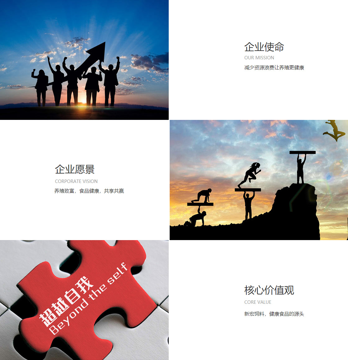 豪运国际官网在线进入(图1)